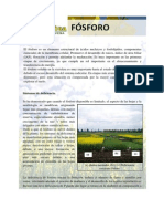 Fosforo PDF