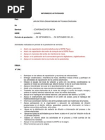 Modelo de Informe de Actividades CM PDF