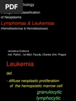 20 Lymphomas and Leukemiastexts