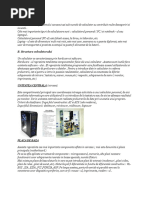 B. Structura Calculatorului: A. Prezentare Generala