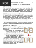 Cap 20 Entropia Segunda Lei Termodinamica PDF