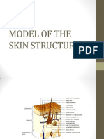 Model of The Skin Structure