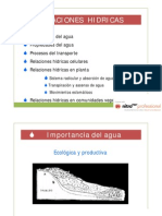 Relaciones Hidricas PDF