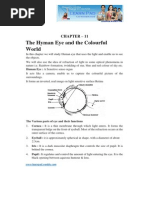 Human Eye and Colourful World