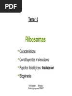 Tema 10 Ribosomas PDF