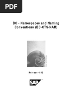 BC - Namespaces and Naming Conventions (BC-CTS-NAM) : Release 4.6C