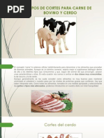 Tipos de Cortes para Carne de Bovino y