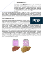 Esteatosis Hepática