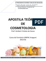 Apostila Teórica Cosmetologia 2013-02 PDF