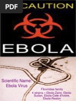 Ebola Virus