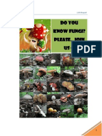 Fungi PDF