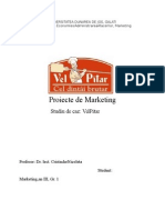 Proiecte de Marketing Studiu de Caz VelPitar