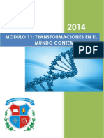 11 - Transformaciones en El Mundo Contemporaneo Resumen de La Materia