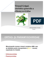 Virusul Gripal Prezentare Microbiologie