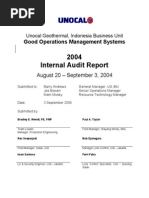 2004 Internal Audit Report