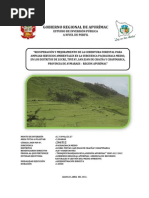 Mejoramiento de La Cobertura Vegetal PDF