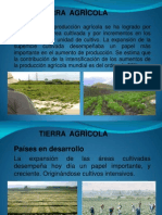 Tema Tierra Agricola PDF