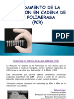 Fundamento PCR