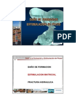 2.0 Estimulación Matricial PDF