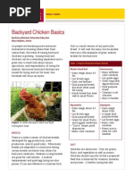 Backyard Chicken Basics PDF