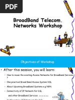 Broadband Telecom. Networks Workshop