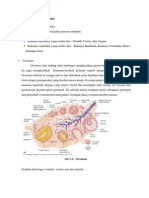 Histologi Sistem Reproduksi-Aini