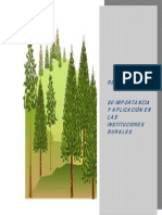 Importancia de La Reforestación en Escuelas PDF