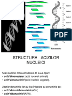 1+2. Acizii Nucleici Si Functiile Acizilor Nucleici