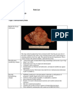 Path Lab Name: Onyedika Egbujo No: #671 Topic: Pheochromocytoma