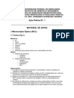 (Aula Prática 1) PDF