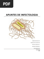 Apuntes de Infecto PDF