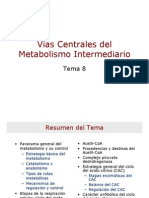 Vias Centrales Del Metabolismo Intermediario PDF