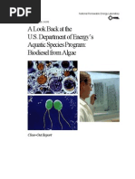 Biodiesel From Algae 21