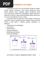 Apostila Bioquimica Da Urina PDF