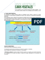 Histologia Vegetal 2013 PDF