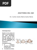 1.-Anatomia Del Ojo