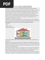 Sap Is-U (CCS) - Overview