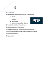 Trabajo de Campo Amnistía Internacional (Trabajo Escrito) PDF