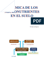 Valle Grande Dinamica de Los Micronutrientes en El Suelo PDF