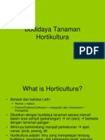 2.budidaya Tanaman Hortikultura