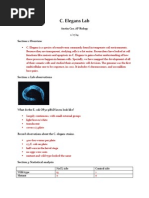 C. Elegans Lab: Austin Cao, AP Biology 2/27/14
