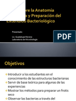 1 Teoría Sobre La Anatomía Bacteriana y Preparación Del