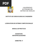 Manual de Practicas de Microprocesadores