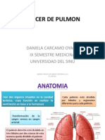 Cancer de Pulmon