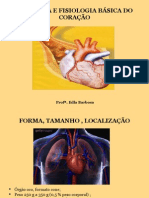 Anatomia - Revisão