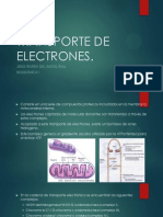 Cadena de Transporte de Electrones