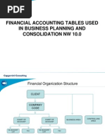 Financial Accounting Tables Used in Business Planning and Consolidation NW 10.0