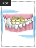 MORFOLOGIA OCLUSAL y MASTICACIÓN