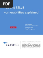 TLS & SSLv3 Vulnerabilities