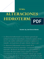 C 04 Alteraciones Hidrotermales